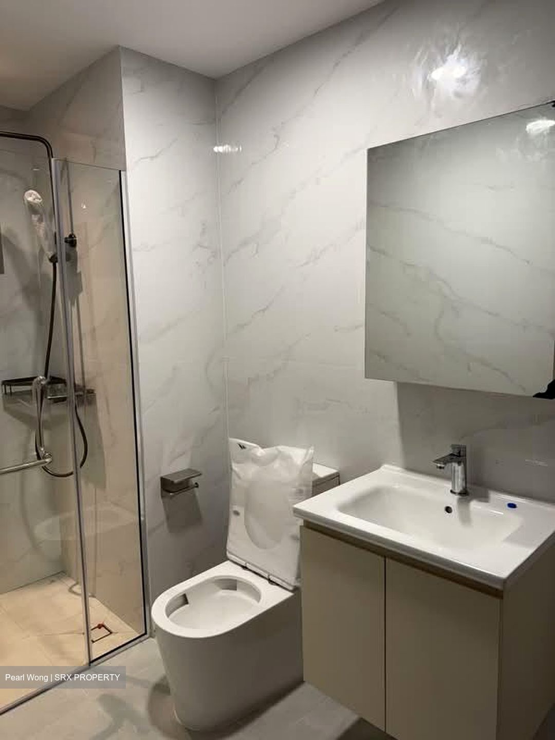Spring Grove (D10), Condominium #615801691